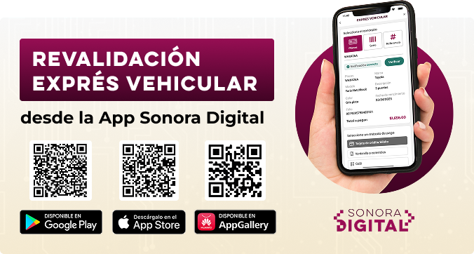Revalidacion Express App Sonora